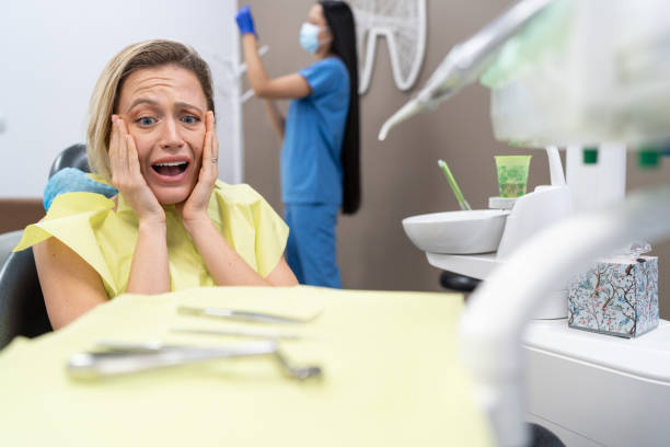 Best Broken or Chipped Tooth Repair in Orwigsburg, PA
